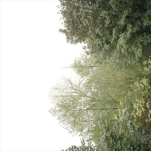 GROWING SOUL OF THE RAINBOW AND THE HARMONY OF LIGHT NEW CD - Imagen 1 de 1