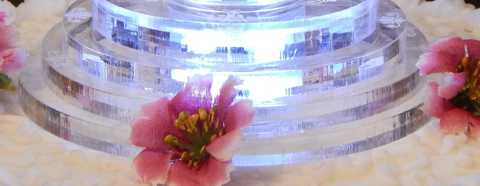 Bild 4 von 5