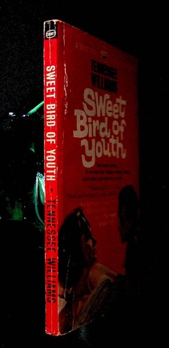 Paul Newman Sweet Bird of Youth 1962 Tennessee Williams Movie Tie-in 1st Ed. PB - Picture 6 of 7