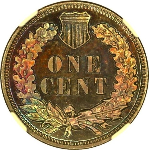 1900 Proof Indian Cent 1c NGC PF65 BN beautiful blue tones - Picture 4 of 5