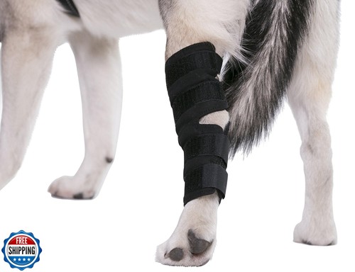 Apoyos para piernas de perro AGON® para envoltura de patas traseras corvejón compresión protege heridas y H - Imagen 5 de 5