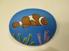 Clown Fish hand painted on a rock by Ann Kelly