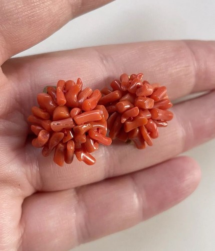 Vintage Nachlass lachsrote Koralle Cluster Clip auf vergoldete Ohrringe 0,8"