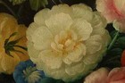 Bild 8 von 13