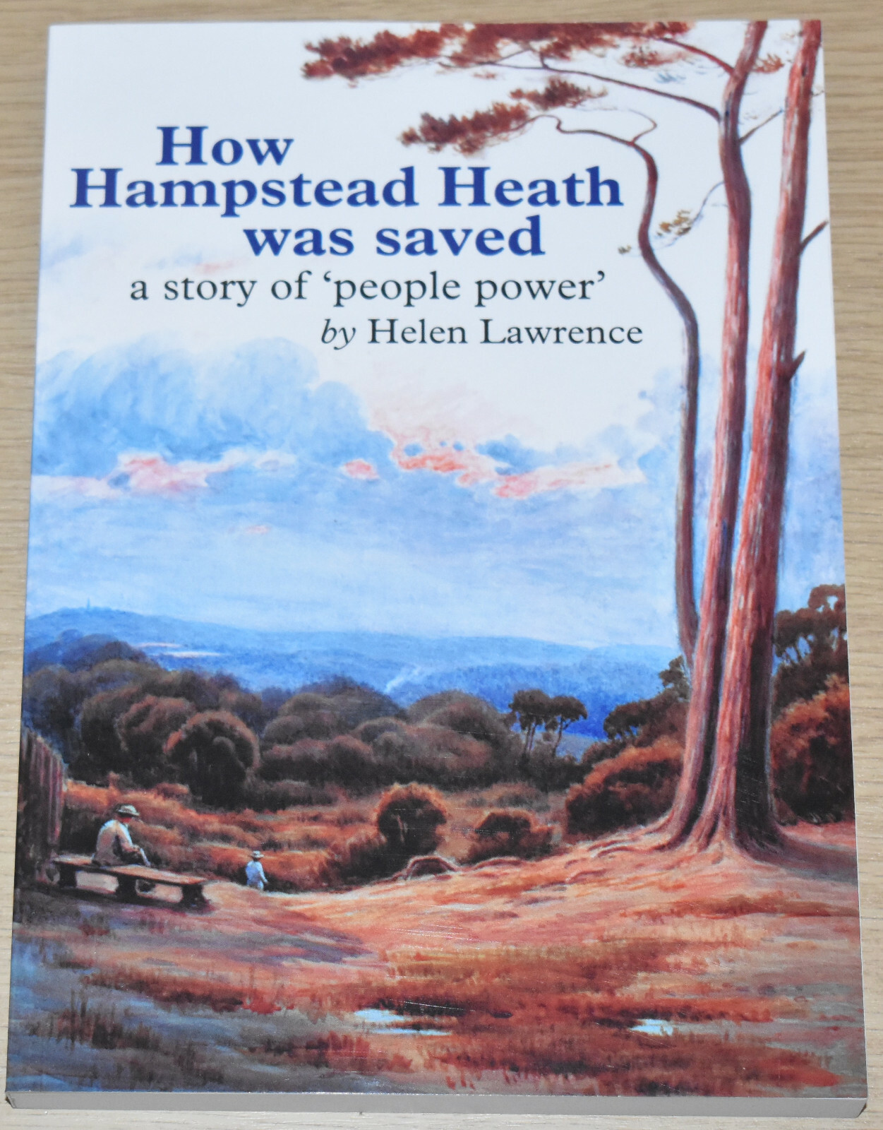 HAMPSTEAD HEATH HISTORY 19th Century Commons Conservation Campaign London Land