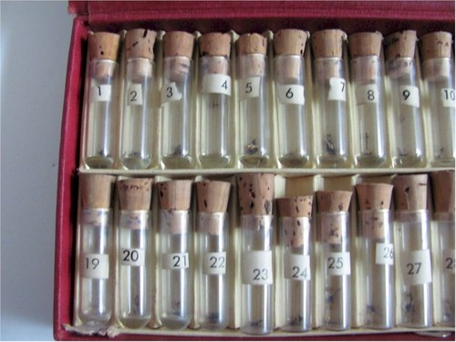 The Bestfit Assortment No. 175 Of Metric Gauged Blue & Gilt Second Hands - Picture 4 of 8