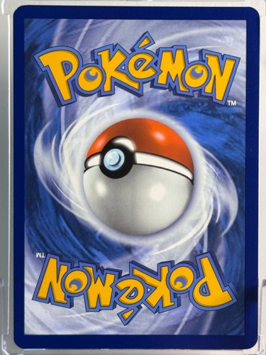251/193 - Falkner - Ultra Rare Full Art - Paldea Evolved - Pokemon TCG - Bild 2 von 2