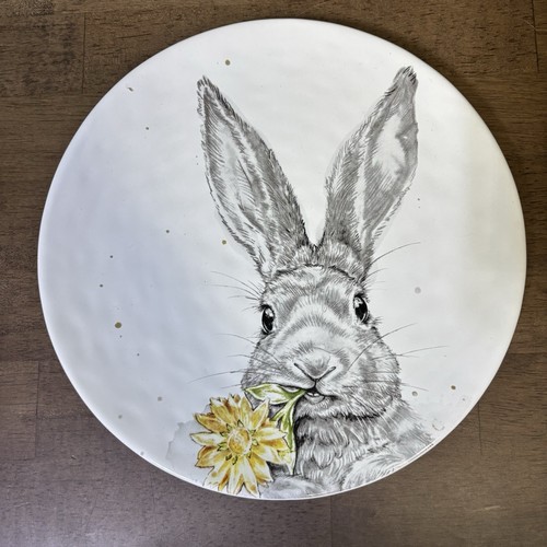 Pier 1 SKETCH BUNNY 8.5" Salad Plate Set 4Pc Rabbit Flower Butterfly Ladybug - Picture 4 of 11