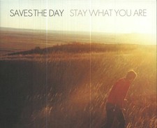 SAVES THE DAY - Stay What You Are (reissue) - SPLATTERED VINYL 2X10" LP