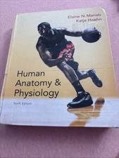 Human Anatomy and Physiology by Elaine N. Marieb and Katja Hoehn (Hardcover)