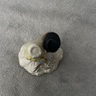Picture 4 of 6