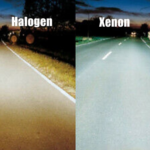 Ultra Long Life H3 Xenon White 100W 12v Halogen Headlight 453 Fog Light Bulbs - Picture 4 of 12