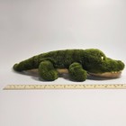 Foto 7 di 24