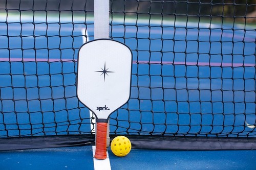 Fiber Glass Pickleball Paddle with Textured Surface, Unique One Size - Picture 7 of 7