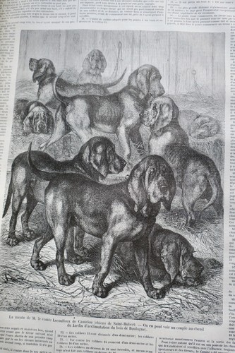 Chasse illustrée - Journal des chasseurs et de la vie à la campagne 1874 - Imagen 9 de 10