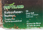 Foto 6 di 12