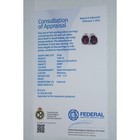 Foto 5 di 5