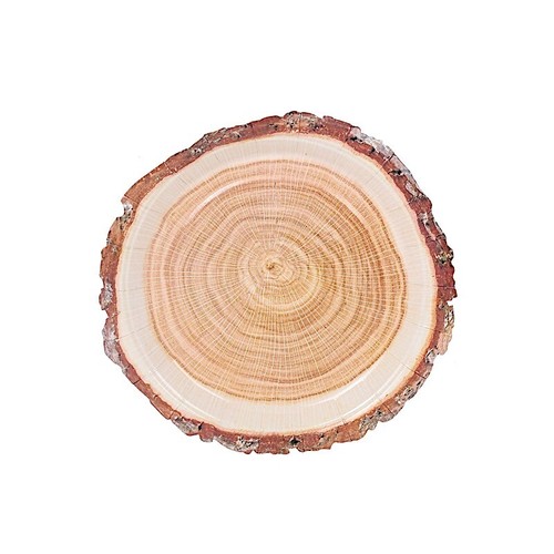 25 Natural 7 in Round Disposable Paper PLATES Wood Slice Design Party Events - Bild 4 von 9