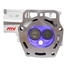 Kawasaki Mule 3010 3000 4010 400 Cylinder Head Valves Set Rear