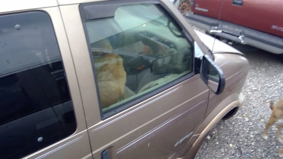 Transmisión automática tracción trasera compatible con 98 ASTRO 514770 Foto 4 de 4