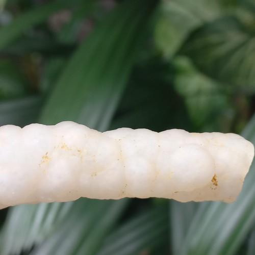 21gr schöner gezwirnter Tropfstein Cluster Chalcedon poliert Indonesien - Bild 9 von 9