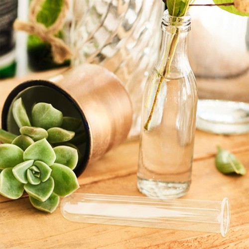 6 Pcs Hydroponic Test Tube Vase Office Plants Propagation Cylinder Vases Bud - Picture 6 of 12