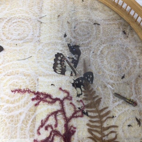 Boho Vintage Rattan And Bamboo Pressed Butterfly Tray And 6 Pc Coaster Set - Bild 3 von 20