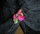 Bild 10 von 10