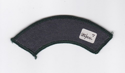 SCOUT ASSOCIATION OF IRELAND - IRISH SAI SCOUT SCOUTS SHOULDER PATCH - Picture 2 of 2