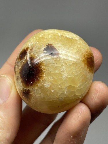 Septarian Nodule 2,8oz Palmenstein poliert Trauma Heilung Reiki emotional L6 - Bild 1 von 12