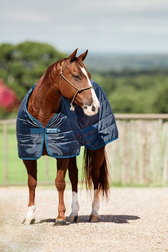 Horseware Rug Liner Under Rug Turnout/Stable Mediumweight 200g Navy 5'0"-7'3" - Picture 4 of 9