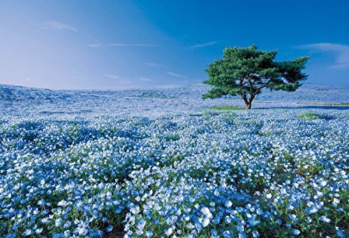 EPOCH 1053pc Jigsaw Puzzle Nemophila Hill Ibaraki Super Small Pieces 31-003 NEW - Picture 2 of 2