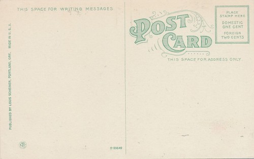 OREGON OR - Sheep Herders Camp Eastern Oregon Four Men and Four Dogs Postcard - Picture 2 of 2