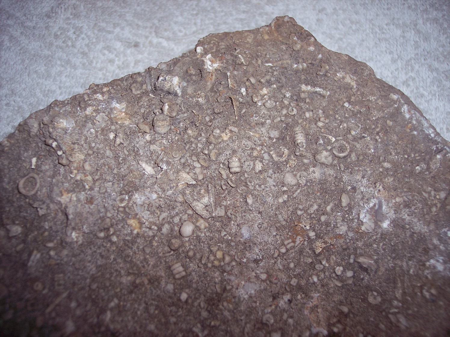 Picture 3 of 19