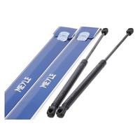 2X Meyle HeckklappendäMpfer Gasfeder Heckklappe FüR Nissan Qashqai II (J11)