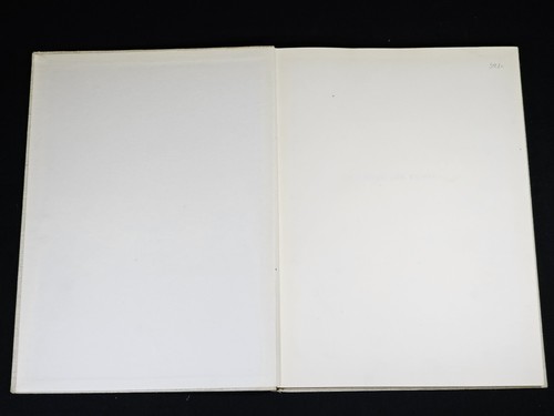 1953 Folio Urformen der Kunst Blossfeldt, Karl BOTANY PHOTOGRAPHY Later Edition - Imagen 6 de 15