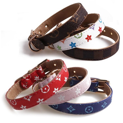 Luxus Designer Mode Hundehalsband Kunstleder für Haustier Hund Katze Tier - Bild 2 von 11