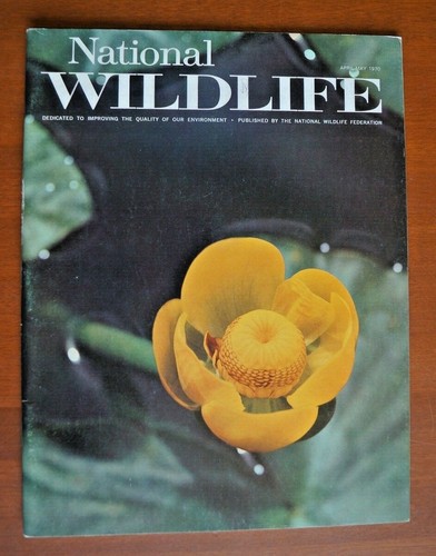 Vintage National Wildlife Magazines - Imagen 75 de 110