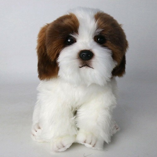 Lifelike Realistic Shih tzu Plush Dog Cute Puppy Stuffed Toy Kids Gift 1pc - Picture 4 of 9