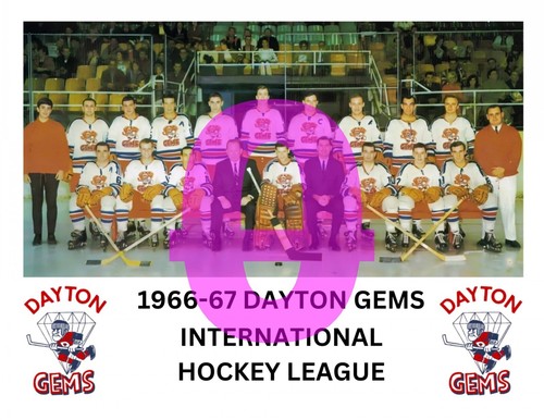 INTERNATIONAL HOCKEY LEAGUE TEAM PHOTOS ( YOU PICK FROM LIST) REPRINT