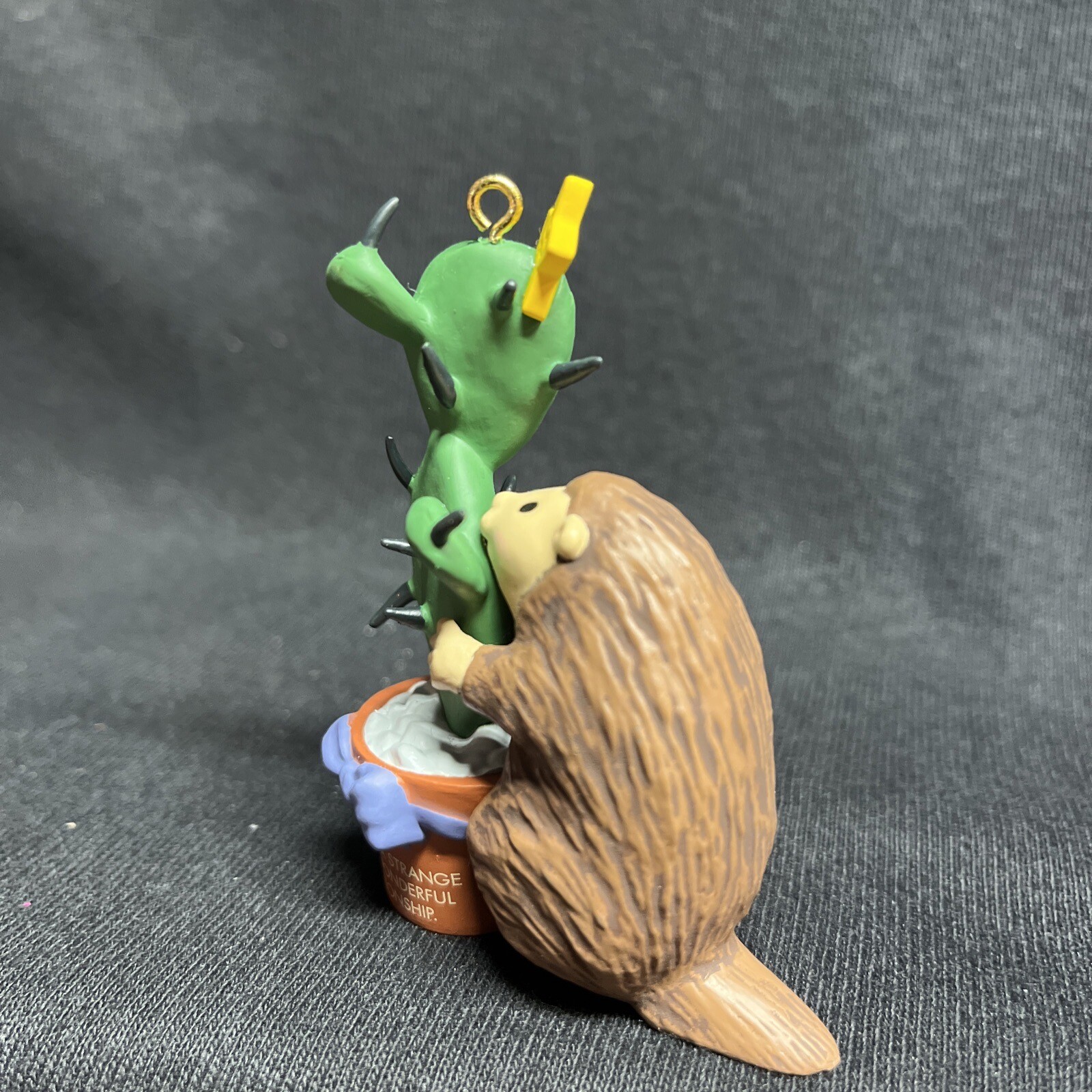 Picture 5 of 11