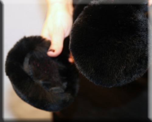 New Black Rex Rabbit Fur Ear Muffs - Picture 3 of 3