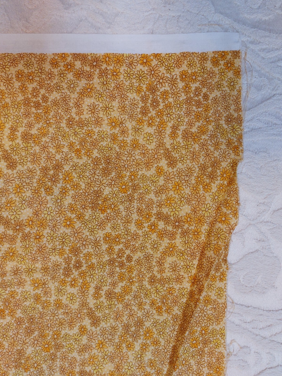 Picture 4 of 6