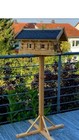 Bild 9 von 9