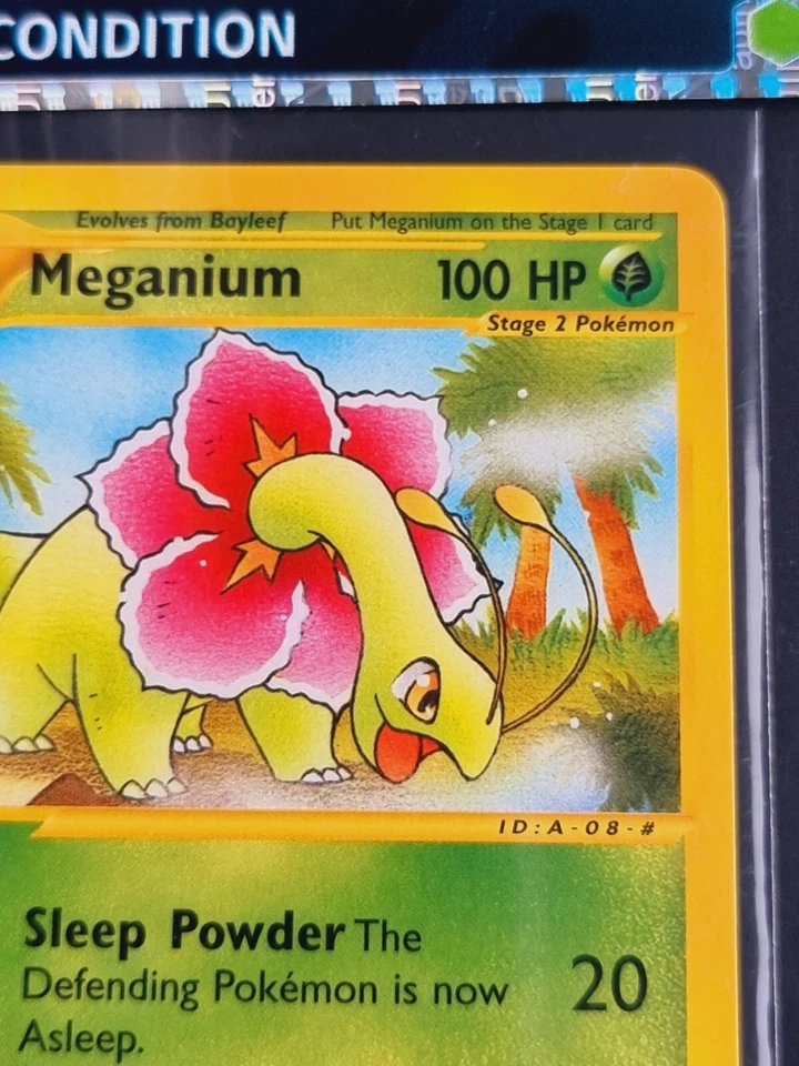 Pokemon Meganium EX 53 Expedition 2002 Meganie AOG PRE-Grading NEAR MINT+ ENG - Bild 3 von 4