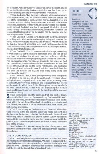 Life in Christ Bible Discovering Believing & Rejoicing BRAND NEW in Shrink Wrap! - Bild 3 von 7