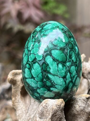 Large Malachite Egg Crystal AAA+ : Emotional Healing Protection 192g 14 - Picture 5 of 14