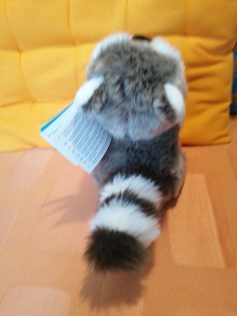 Bild 10 von 19