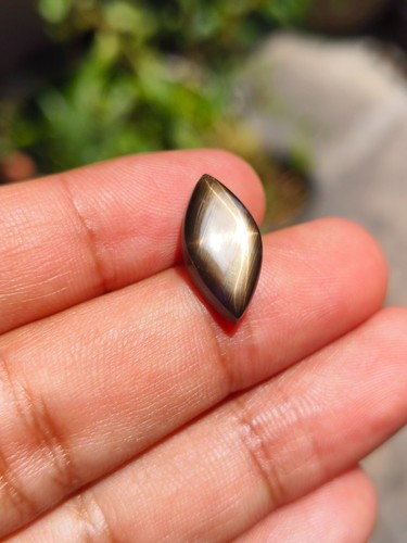 7.99 Cts A STUNNING NO HEAT BLACK STAR SAPPHIRE A RARE MARQUISE SHAPE OF SHARP ⭐ - Bild 3 von 8