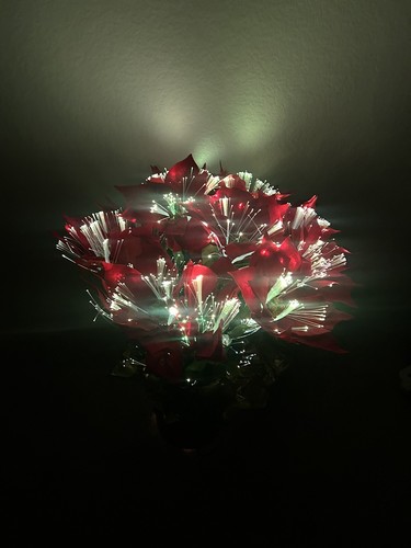 Vintage Poinsettia Plant Fiber Optic By Puleo 28” Lights Up With Box Works! - Picture 12 of 15